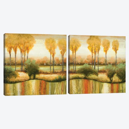 Early Morning Meadow Diptych Canvas Print Set #MMC2HSET002} by Michael Marcon Canvas Art Print