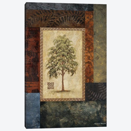 Eucalyptus Tree I Canvas Print #MMC47} by Michael Marcon Art Print