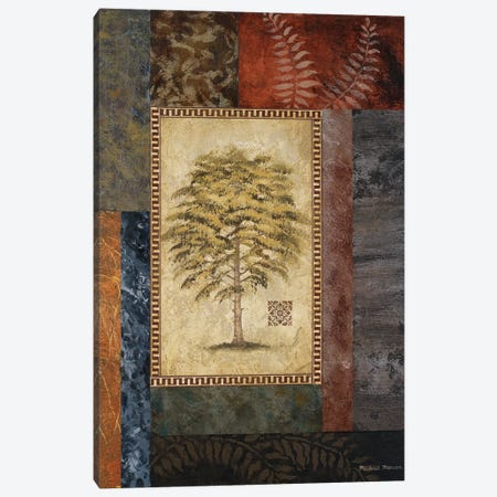 Eucalyptus Tree II Canvas Print #MMC48} by Michael Marcon Canvas Art