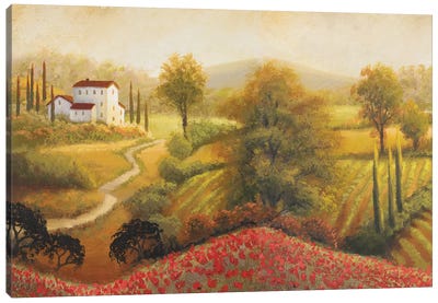 Flourishing Vineyard I Canvas Art Print - Vineyard Art