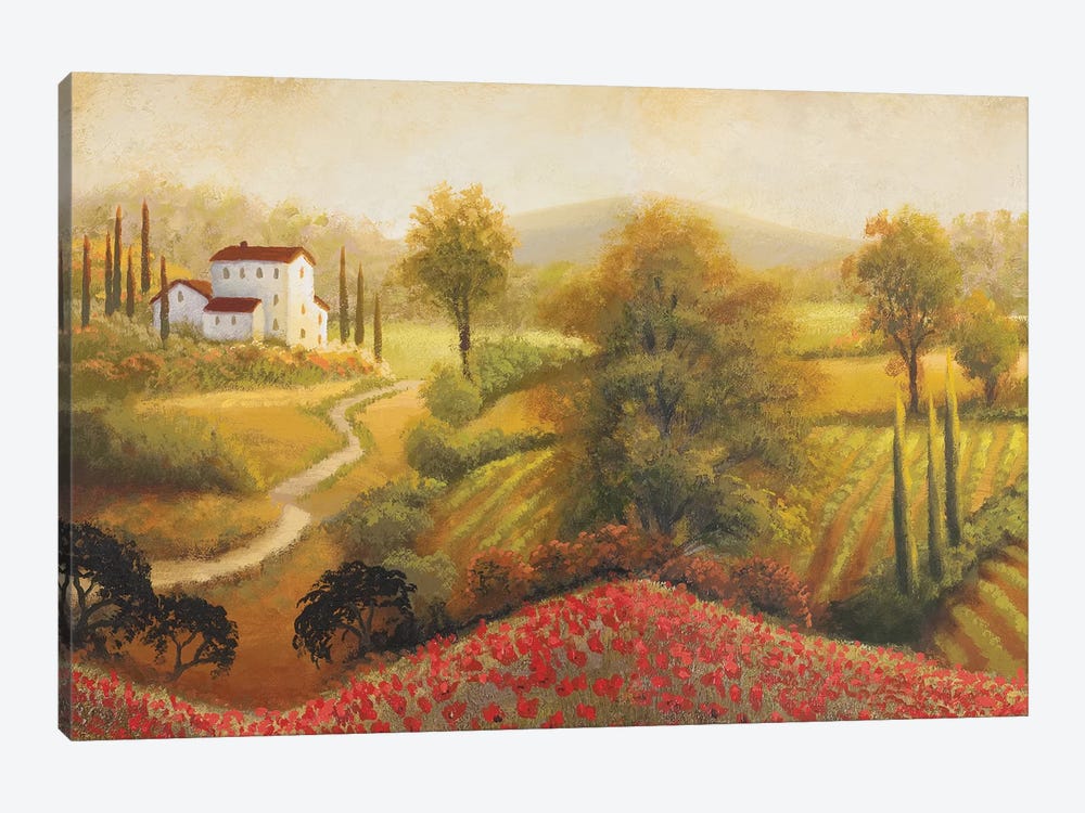 Flourishing Vineyard I by Michael Marcon 1-piece Canvas Artwork