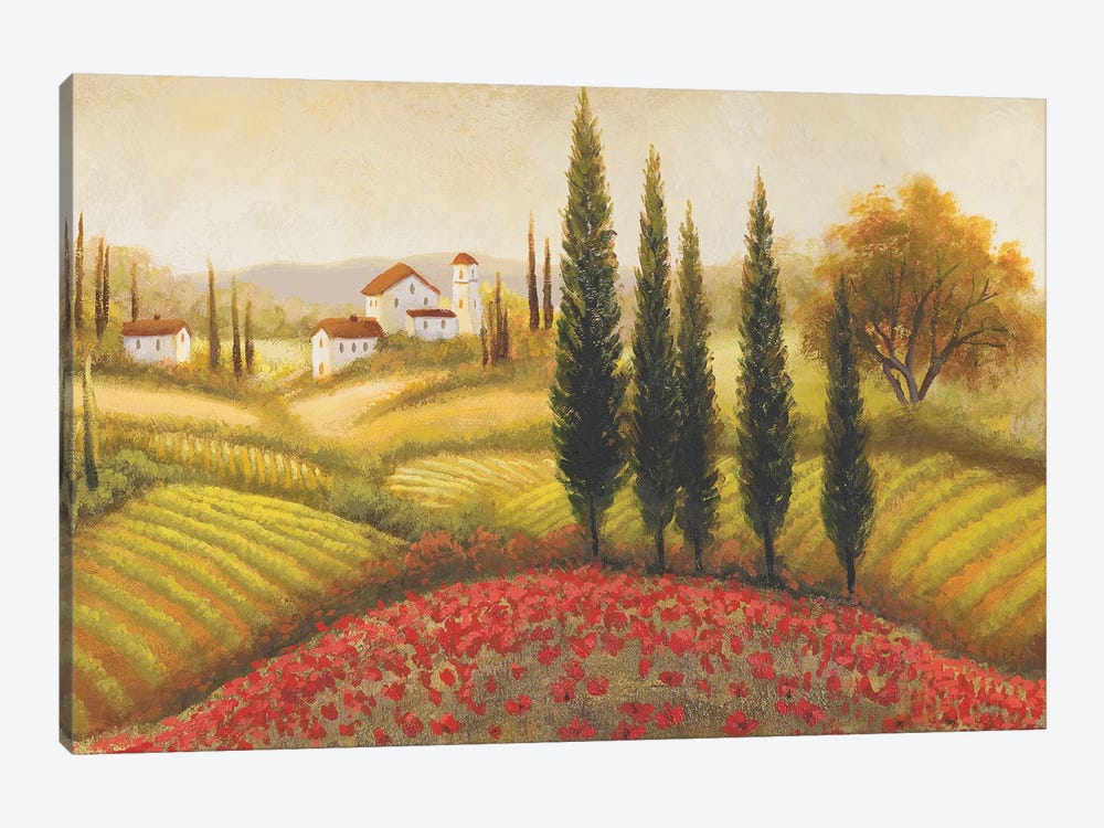 Flourishing Vineyard II by Michael Marcon 1-piece Canvas Art
