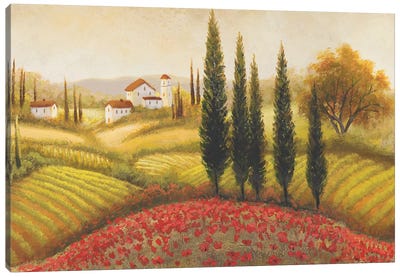 Flourishing Vineyard II Canvas Art Print - Vineyard Art
