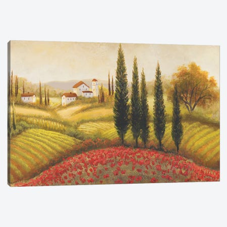 Flourishing Vineyard II Canvas Print #MMC60} by Michael Marcon Canvas Wall Art