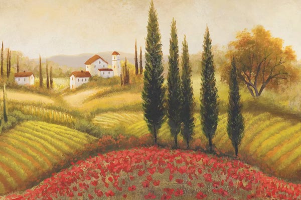 Cypress Trees: Flourishing Vineyard II by Michael Marcon