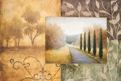 Into A Familiar Place by Michael Marcon canvas print