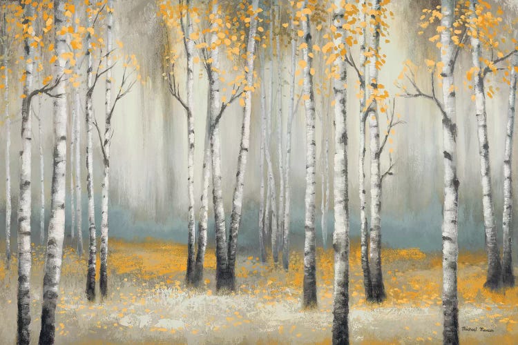 Golden September Birch by Michael Marcon wall art