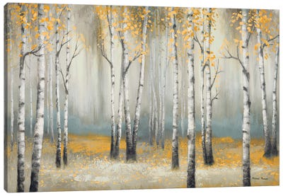 Golden September Birch Canvas Art Print - Traditional Living Room Art