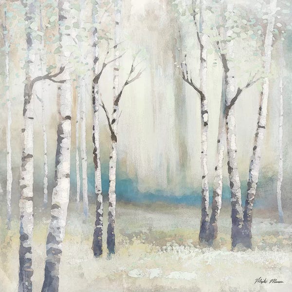 Birch Trees: Watercolor December Birch I by Michael Marcon