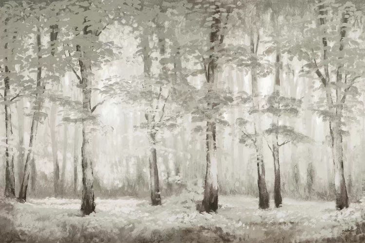 Misty Woodland Glow by Michael Marcon wall art