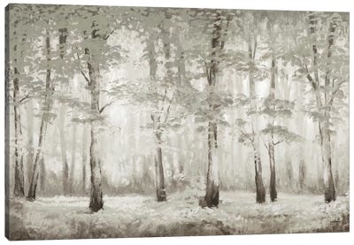 Misty Woodland Glow Canvas Art Print