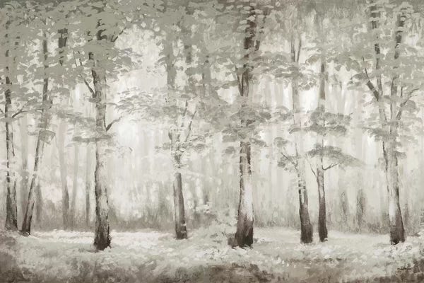Cabin & Lodge Décor: Misty Woodland Glow by Michael Marcon