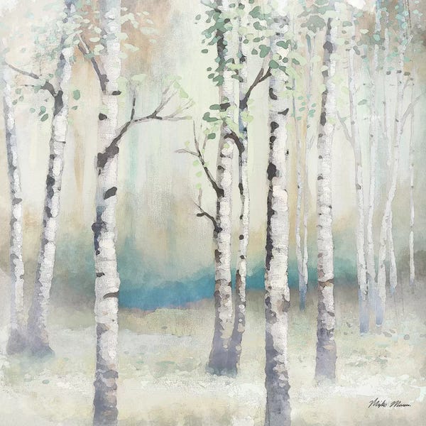 Birch Trees: Watercolor December Birch II by Michael Marcon