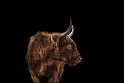 Two Steps by Marika Moffitt gallery poster