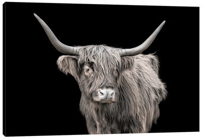 It's A Mooood I Canvas Art Print - Highland Cow Art