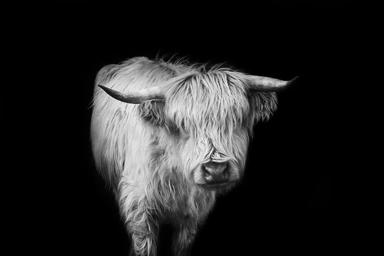 It's A Mooood II by Marika Moffitt wall art