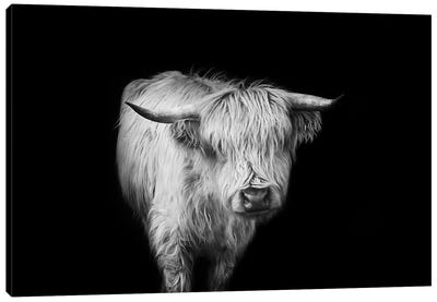 It's A Mooood II Canvas Art Print - Highland Cow Art