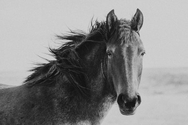 Modern Farmhouse Living Room: Classic In B&W by Marika Moffitt