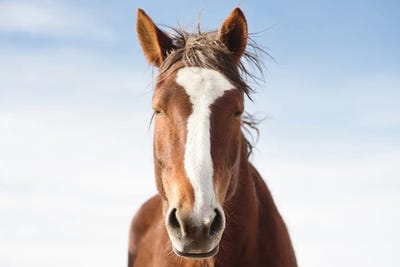 I'll Be Here II by Marika Moffitt multi panel art