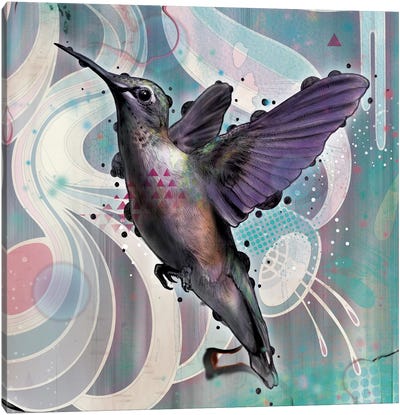 Reaching Canvas Art Print - Hummingbird Art