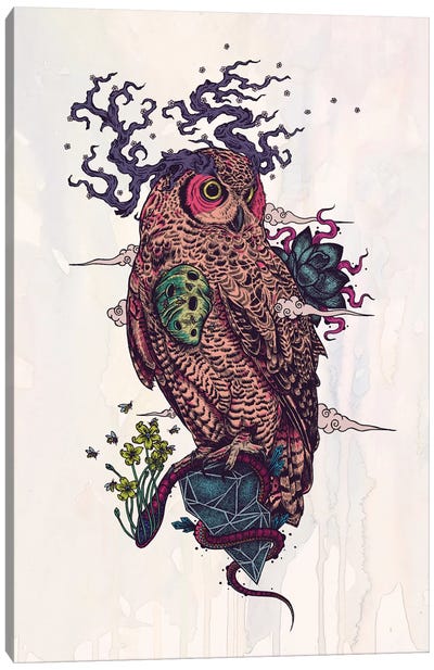 Regrowth Canvas Art Print - Owl Art