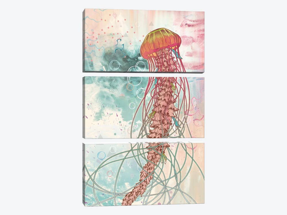 Jellyfish by Mat Miller 3-piece Canvas Art