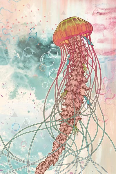 Jellyfish: Jellyfish by Mat Miller