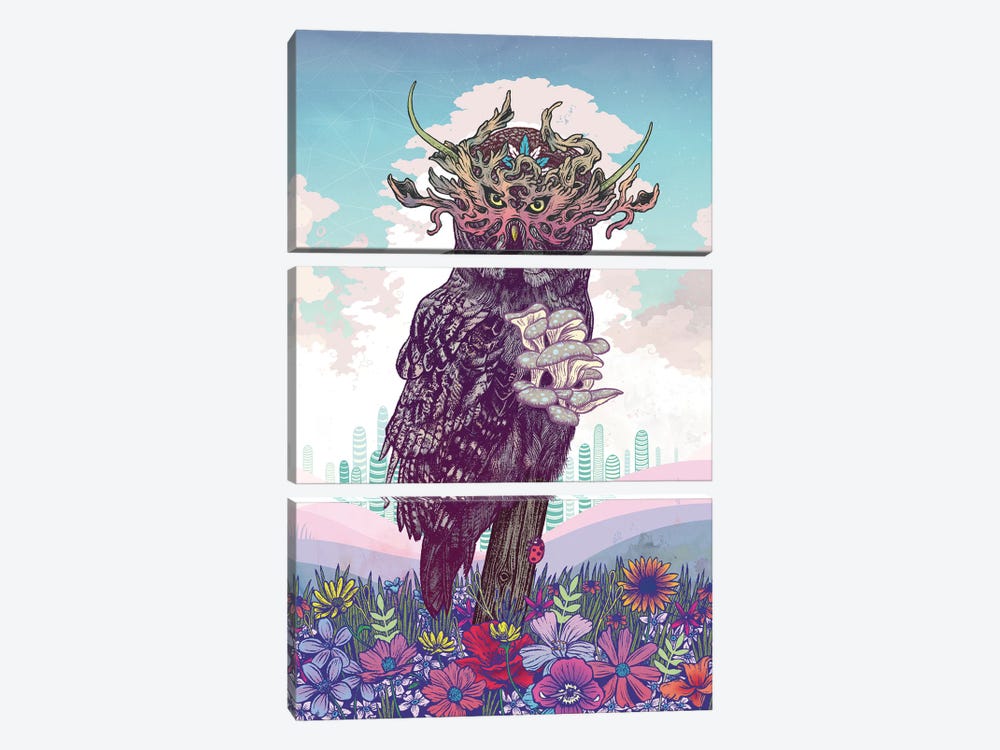 Journeying Spirit (Owl) 3-piece Art Print