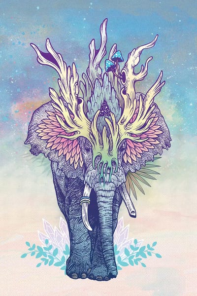 Spirit Elephant by Mat Miller canvas print