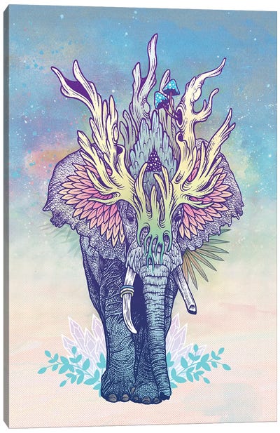 Spirit Elephant Canvas Art Print - Mat Miller