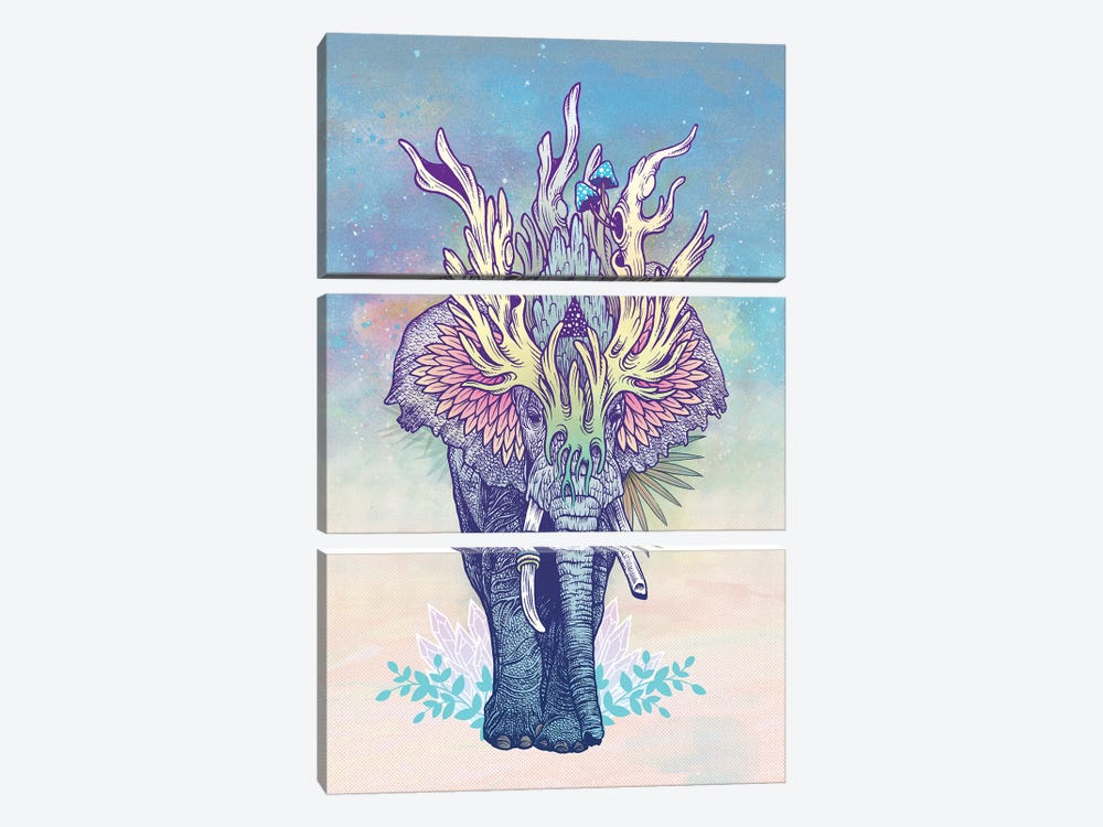 Spirit Elephant by Mat Miller 3-piece Canvas Art Print