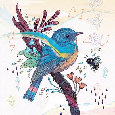 Bluetail by Mat Miller art print