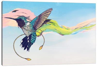 Hummingbird Canvas Art Print - Mat Miller