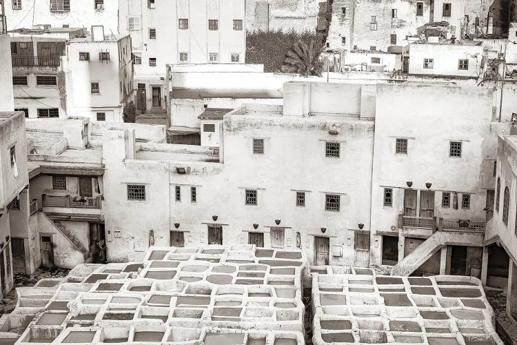 Fez Tannery