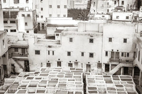 Moroccan Culture: Fez Tannery by Mark MacLaren Johnson