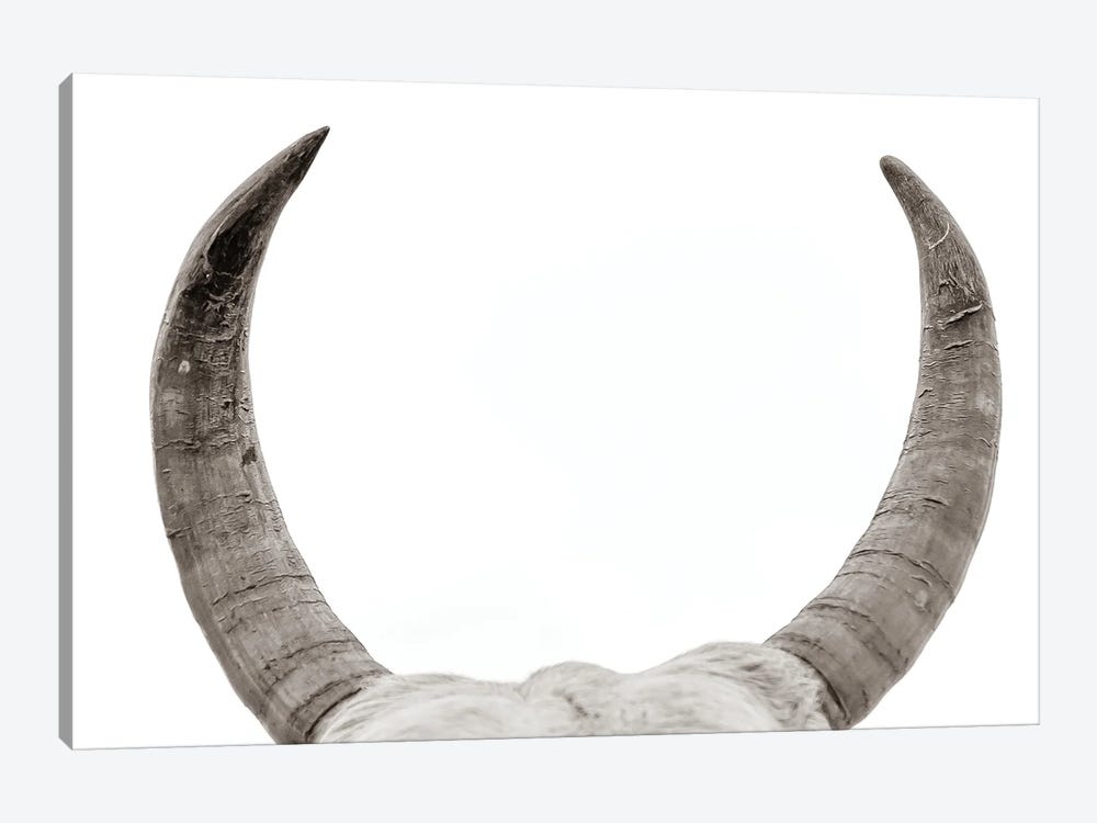Horns by Mark MacLaren Johnson 1-piece Art Print