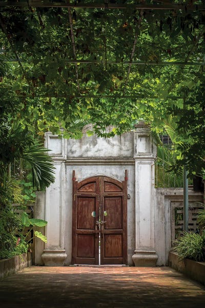 Doors: Secret Door by Mark MacLaren Johnson