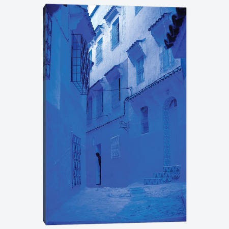 Blue Home Canvas Print #MMJ66} by Mark MacLaren Johnson Canvas Art