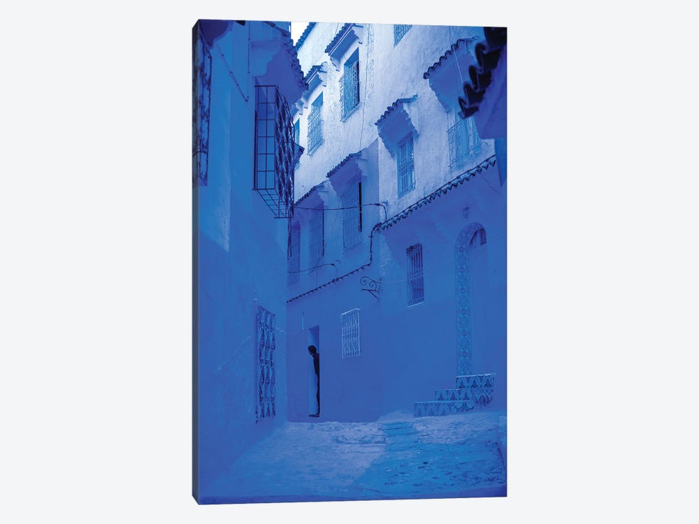 Blue Home by Mark MacLaren Johnson 1-piece Canvas Wall Art