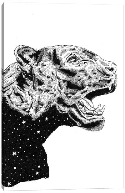 Panther Space Canvas Art Print - Hyper-Realistic & Detailed Drawings