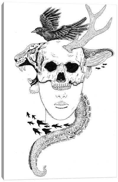 Skull Head Canvas Art Print - Crow Art