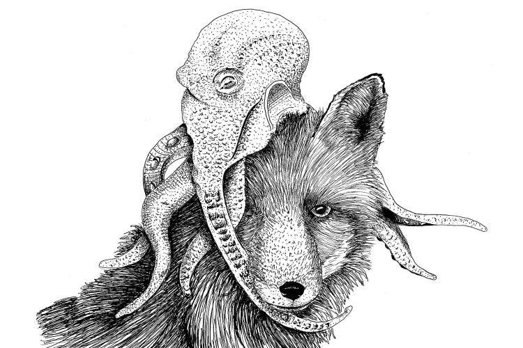 Wolf + Octopus