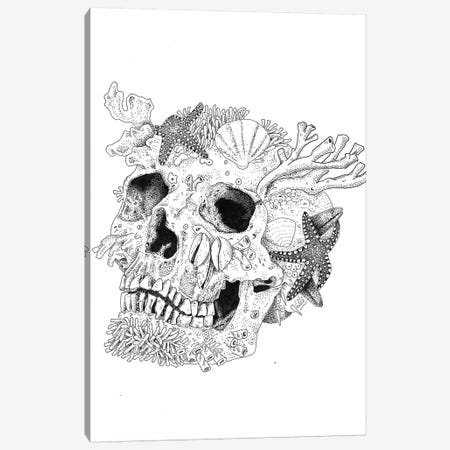 Aqua Skull Canvas Print #MML1} by Mister Merlinn Canvas Print