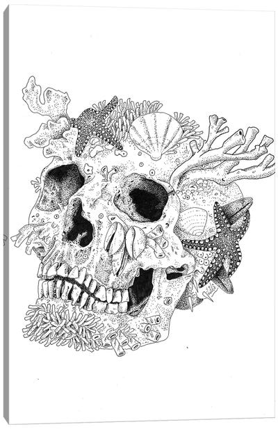 Aqua Skull Canvas Art Print - Hyper-Realistic & Detailed Drawings