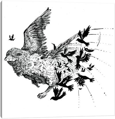 Birdz Canvas Art Print - Hyper-Realistic & Detailed Drawings
