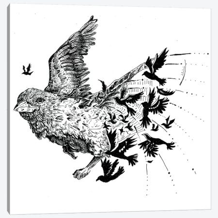 Birdz Canvas Print #MML3} by Mister Merlinn Canvas Art Print