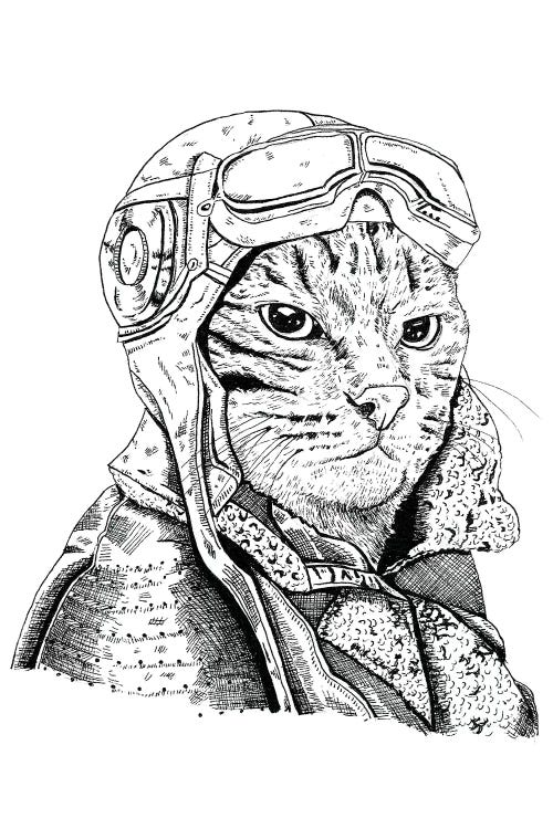 Cat Pilot