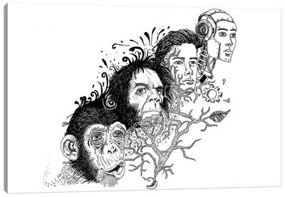 Evolution Canvas Art Print - Monkey Art