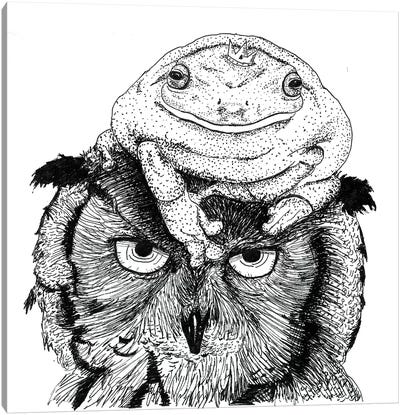 Grumpy Owl Canvas Art Print - Mister Merlinn