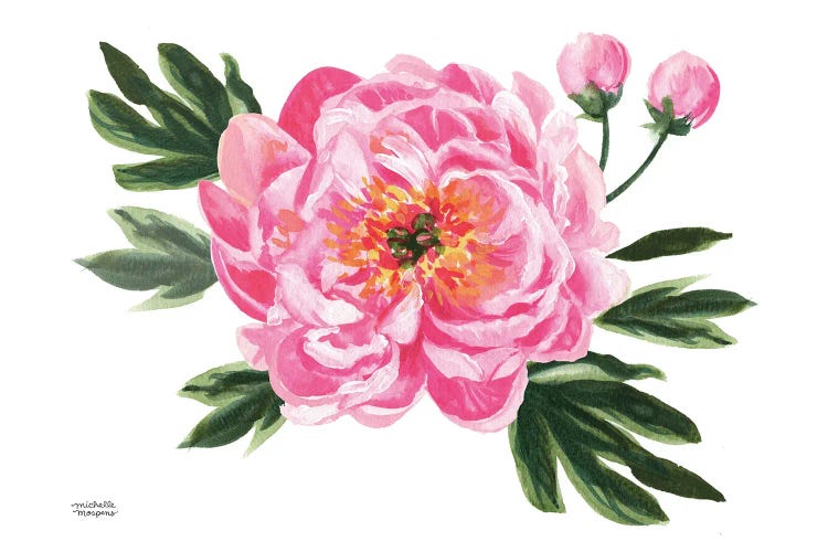 June Bloom Pink Peony Watercolor